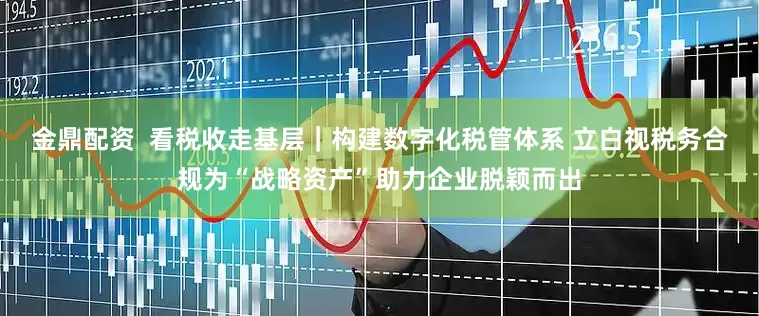 金鼎配资  看税收走基层｜构建数字化税管体系 立白视税务合规为“战略资产”助力企业脱颖而出