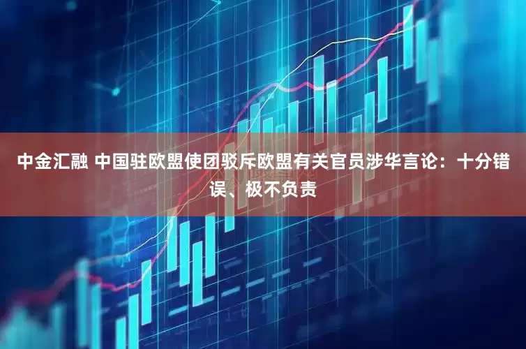 中金汇融 中国驻欧盟使团驳斥欧盟有关官员涉华言论：十分错误、极不负责